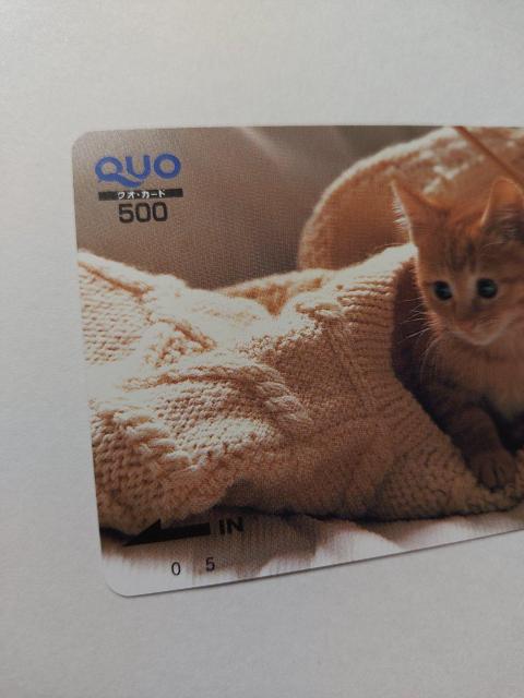 ���g�p���N�I�J�[�h���L��500�~����1����QUO�J�[�h�� �� �`�P�b�g/������ 