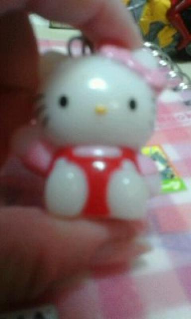 �L�e�B�L�[�z���_�[  �� ��������� 