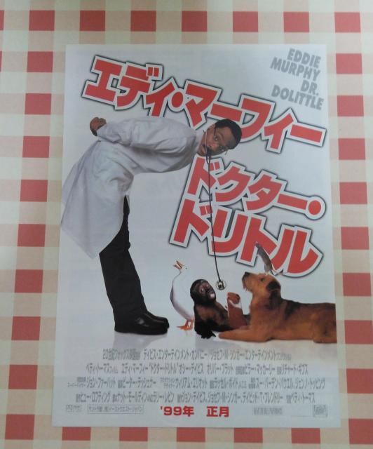 『エディ・マーフィー ドクター・ドリトル』チラシ < ホビー  『エディ・マーフィー ドクター・ドリトル』チラシ  < ホビーの