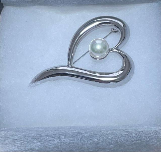 WINK PEARL �u���[�` 