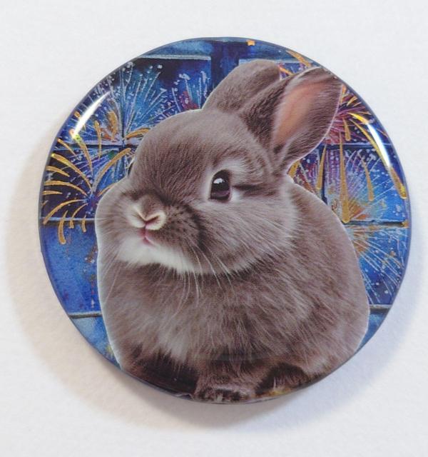 ԉΕ킢lbNXwAS@@ANZT[@@wAS@@u[`@@|j[tbN   t@bV 