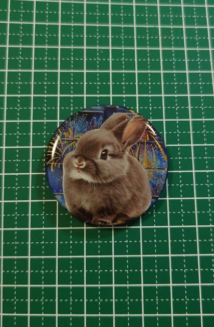 ԉΕ킢lbNXwAS@@ANZT[@@wAS@@u[`@@|j[tbN  t@bV 