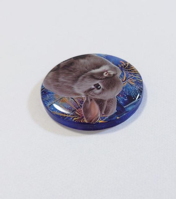 ԉΕ킢lbNXwAS@@ANZT[@@wAS@@u[`@@|j[tbN  t@bV 