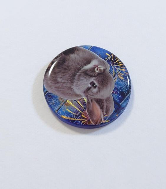 ԉΕ킢lbNXwAS@@ANZT[@@wAS@@u[`@@|j[tbN  t@bV 