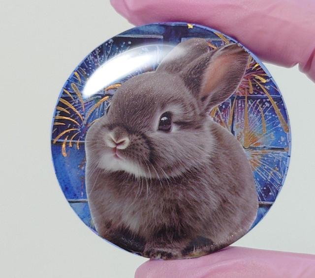 ԉΕ킢lbNXwAS@@ANZT[@@wAS@@u[`@@|j[tbN  t@bV 