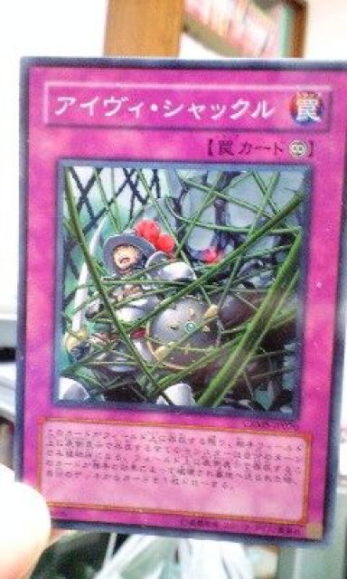 遊戯王【罠・アイヴィ・シャックル】 < トレーディングカード 遊戯王【罠・アイヴィ・シャックル】 < トレーディングカードの