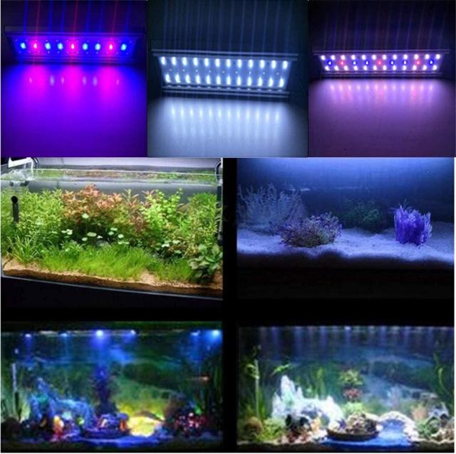 アクアリウムライトアクアリウムLEDライトクリップ10W < ペット/手芸/園芸  アクアリウムライトアクアリウムLEDライトクリップ10W < ペット/手芸/園芸の