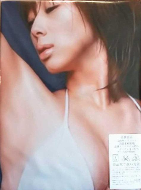 ☆井上和香 ☆抱き枕カバー 新品未使用 < インテリア/ライフ ☆井上和香 ☆抱き枕カバー 新品未使用 < インテリア/ライフの