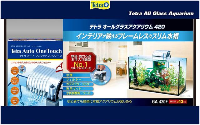 eg (Tetra)  I[OXANAE GA-420F  ybg/|/| 