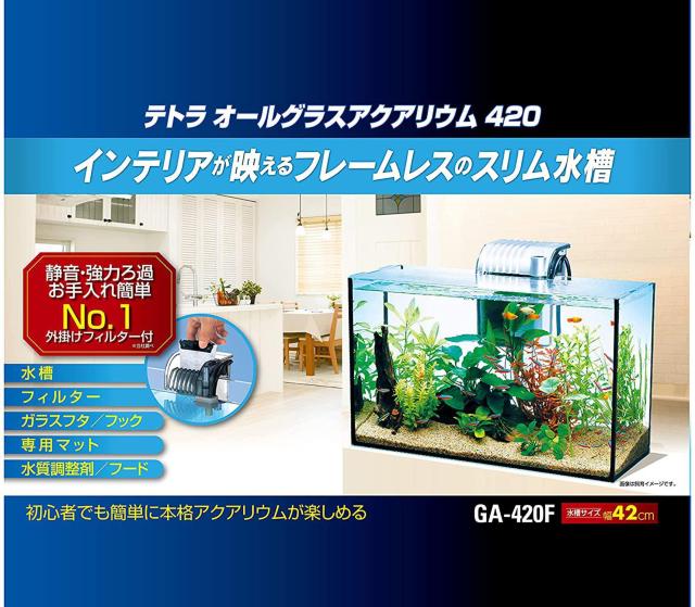 eg (Tetra)  I[OXANAE GA-420F  ybg/|/| 