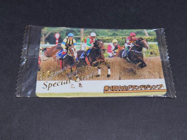 【未開封】まねき馬倶楽部 まねき馬カード スペシャルカードNo.'02-054 第4回中山グランドジャンプ / J・GI < トレーディングカード 【未開封】まねき馬倶楽部 まねき馬カード スペシャルカードNo.'02-054 第4回中山グランドジャンプ / J・GI < トレーディングカードの