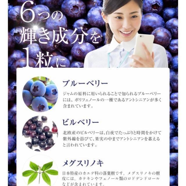 �u���[�x���[ �T�v�������g   1�N��  �A���g�V�A�j�� �r�^�~�� ���N�H�i �� �O����/�h�����N�� 