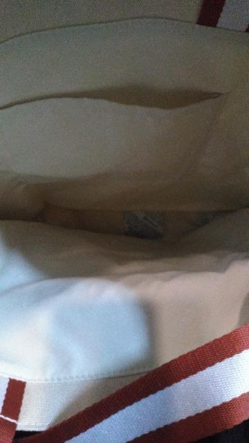 ���]�[�g�~�b�L�[�g�[�g �� �C���e���A/���C�t�� 