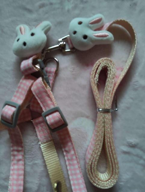 ���� ����������t�� �������p �n�[�l�X�����[�h�Z�b�g �s���N�`�F�b�N�� ���g�p �� �y�b�g/��|/���|�� 