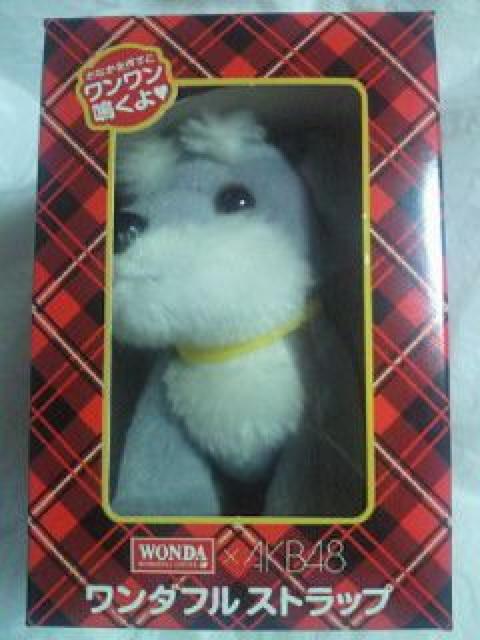 AKB48 Oc֎q ATq R[q[ WANDA _  _t Xgbv     ^gObY 
