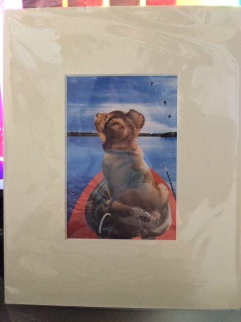 ������ [�J�k�[�ƌ�] �z�t���C���X�g�|�X�^�[���V�i  �� �y�b�g/��|/���|�� 