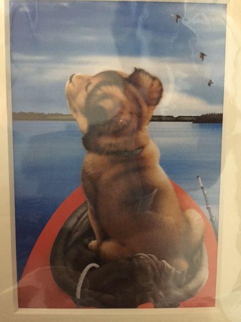 ������ [�J�k�[�ƌ�] �z�t���C���X�g�|�X�^�[���V�i �� �y�b�g/��|/���|�� 