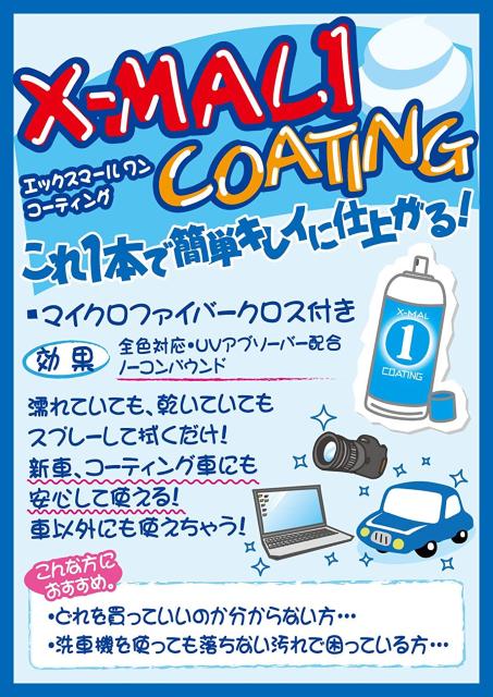 vX^bt ԗpi KXnR[eBO 300ml  /oCN