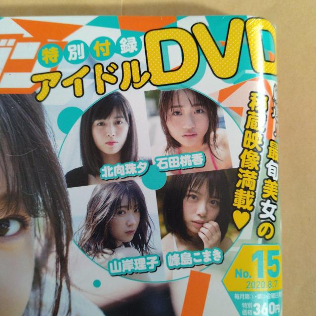 ヤングガンガン表紙 山岸理子特別付録アイドルDVD付き 他漫画 < 本/雑誌  ヤングガンガン表紙 山岸理子特別付録アイドルDVD付き 他漫画 < 本/雑誌の