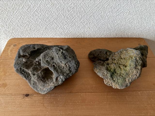 盆栽 球磨川石 添配 インテリアに 火山岩風水石 盆栽・苔玉用 < ペット/手芸/園芸  盆栽 球磨川石 添配 インテリアに 火山岩風水石 盆栽・苔玉用 < ペット/手芸/園芸の