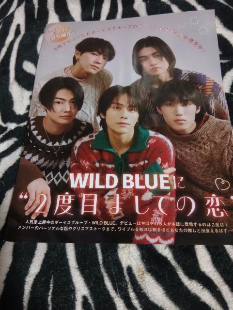 WILD  BLUE  切り抜き 131 < 本/雑誌  WILD  BLUE  切り抜き 131  < 本/雑誌の