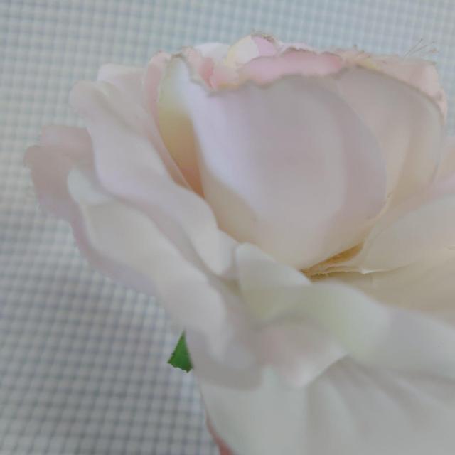 ポイント消化に 送料140円 大きな造花のクリップ < インテリア/ライフ  ポイント消化に 送料140円 大きな造花のクリップ < インテリア/ライフの