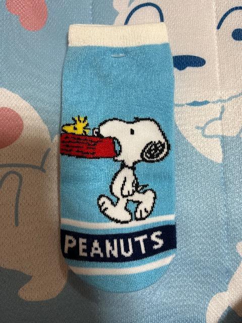 Xk[s[@C@u[   Aj/R~bN/LN^[ 