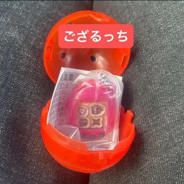 ���܂������@�V���J�V���J�`���[���@�K�`��  �� �z�r�[�� 