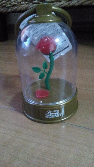 ���]�[�g�����Ɩ�b���[�Y�����^��  �� �C���e���A/���C�t�� 