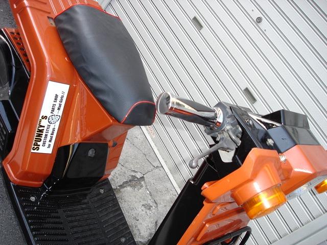 z_WCp JX^bLObv _C  /oCN