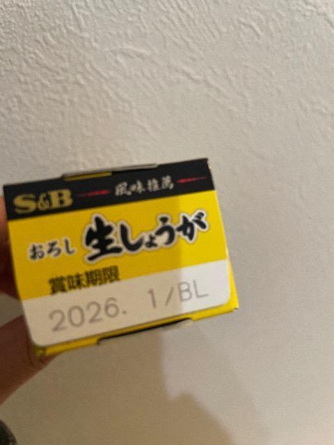 S&B 生しょうが 生姜 おろししょうが チューブ調味料 チューブ 40g < グルメ/ドリンク  S&B 生しょうが 生姜 おろししょうが チューブ調味料 チューブ 40g < グルメ/ドリンクの