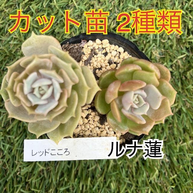 bh i@  A Jbgc i c   ybg/|/| 