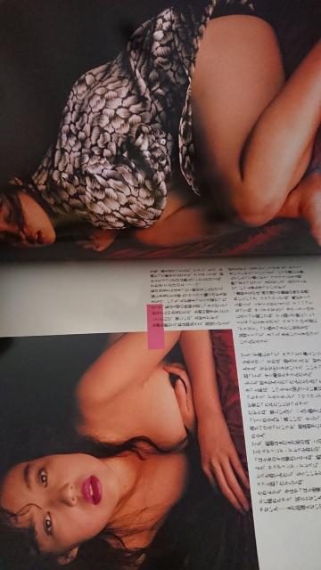 あっ夢感 堀江しのぶ写真集 < タレントグッズ  あっ夢感 堀江しのぶ写真集 < タレントグッズの