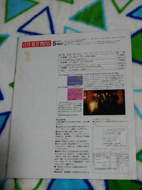 チェッカーズ FC会報 1987年5月号 VOL.13 < タレントグッズ  チェッカーズ FC会報 1987年5月号 VOL.13 < タレントグッズの