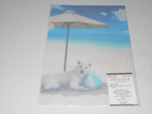 SoftBank お父さんクリアファイル 2017 夏★新品未開封 < ホビー  SoftBank お父さんクリアファイル 2017 夏★新品未開封 < ホビーの