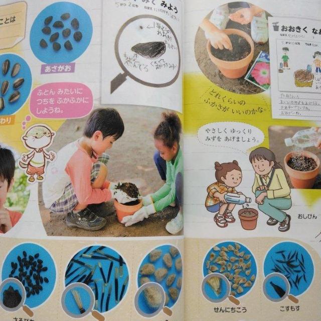 ȏ@wZ@@1N@2N@{o  {/G 