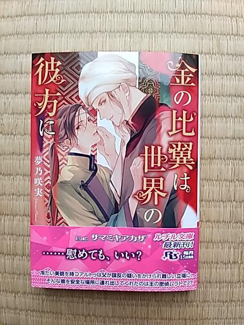 ̔䗃͐E̔ޕɁ@@@T/T}~AJU   {/G 