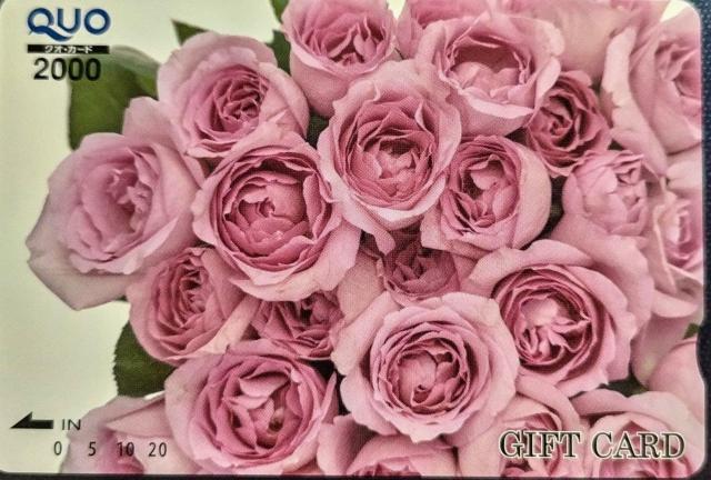 QUO�J�[�h 2000�~ �M�t�g�p �������� 