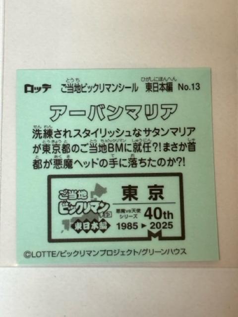 nrbN}{ҁNo.13 A[o}A  zr[ 