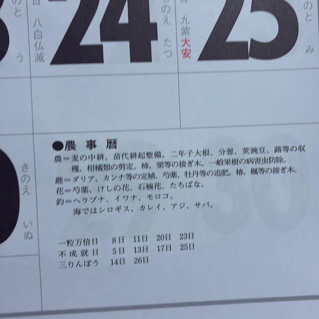 2026�N�J�����_�[ �� �z�r�[�� 