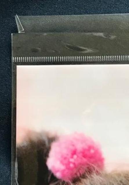 〇 綾瀬はるか 未開封品「グリコ クリアファイル」 < タレントグッズ  〇 綾瀬はるか 未開封品「グリコ クリアファイル」 < タレントグッズの