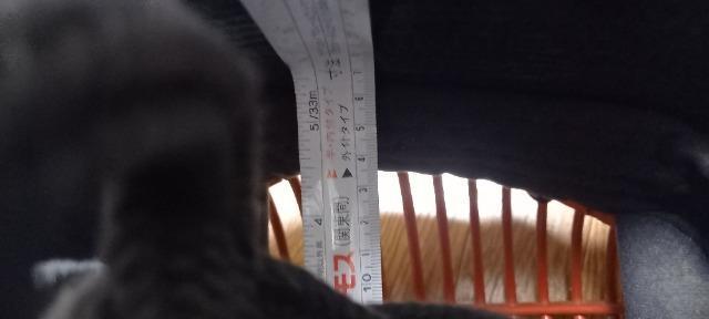 剣道 面 < レジャー/スポーツ  剣道 面 < レジャー/スポーツの