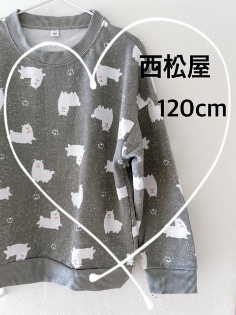 【西松屋】アルパカ柄トレーナー グレー < キッズ/ベビー 【西松屋】アルパカ柄トレーナー グレー < キッズ/ベビーの