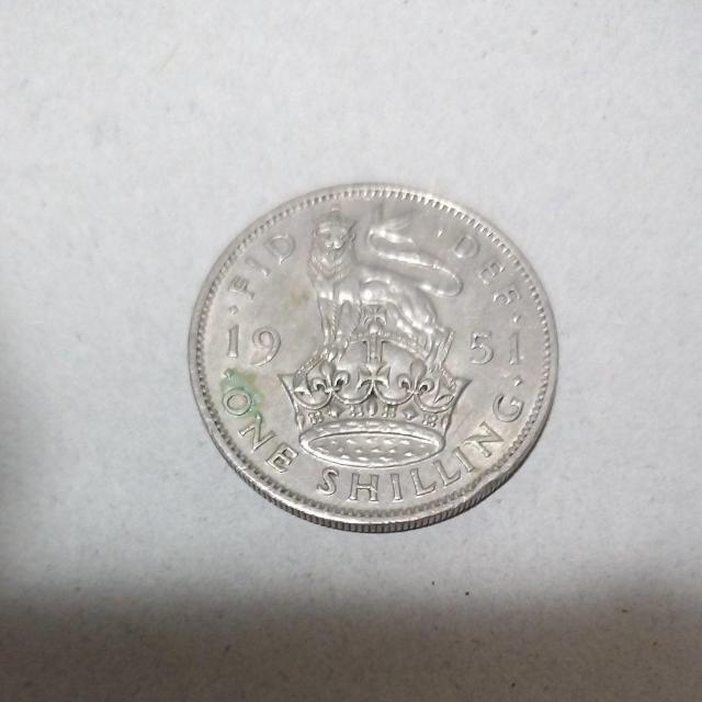 �R�C���@�ÑK�@�C�M���X1�V�����O  �� �z�r�[�� 