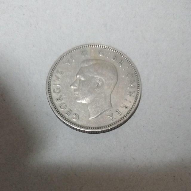 �R�C���@�ÑK�@�C�M���X1�V�����O �� �z�r�[�� 