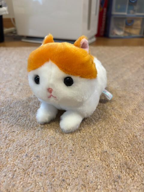 �̂�т�˂�����^�ʂ������  �� ��������� 