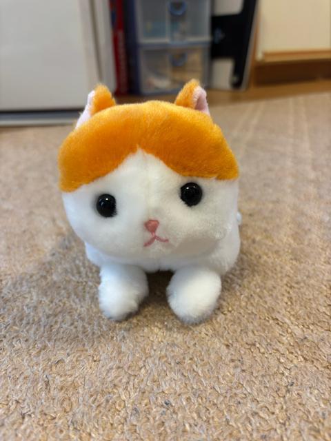 �̂�т�˂�����^�ʂ������ �� ��������� 