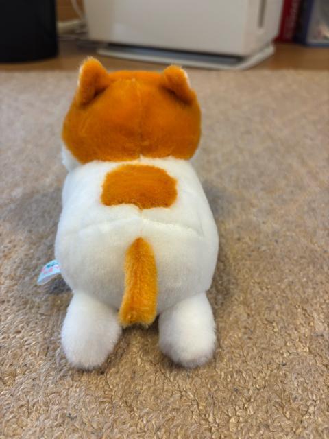 �̂�т�˂�����^�ʂ������ �� ��������� 