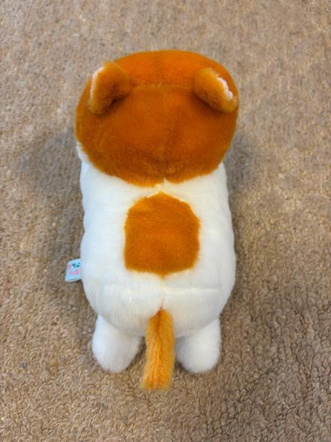 �̂�т�˂�����^�ʂ������ �� ��������� 