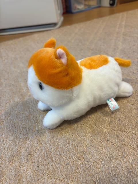 �̂�т�˂�����^�ʂ������ �� ��������� 